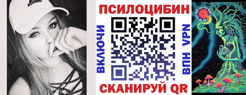 Галлюциногенные грибы Psilocybe Мостовской